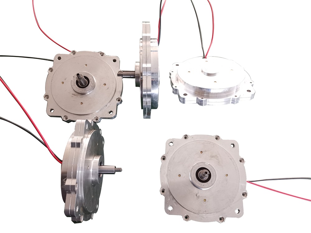 Rare earth flat motor